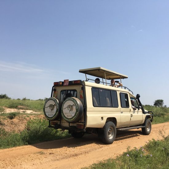 7 Day luxury Tanzania Safari