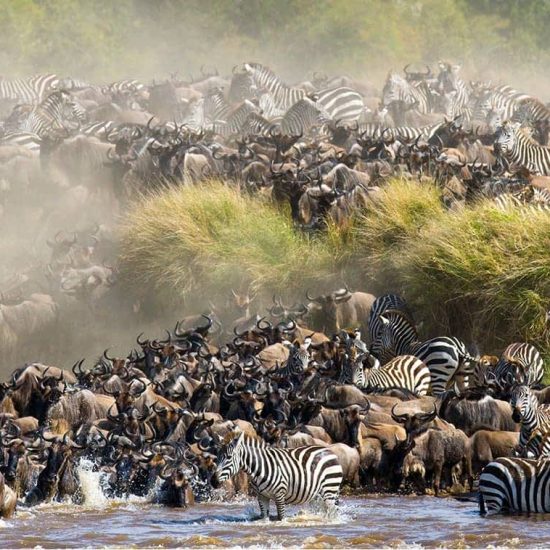 10 Days Tanzania & Kenya Safari Ultimate East Africa Migration Safari