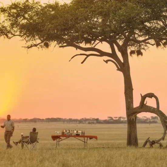 7 Day Tanzania Luxury Safari Serengeti, Ngorongoro & Tarangire Sheetah Uganda Safaris
